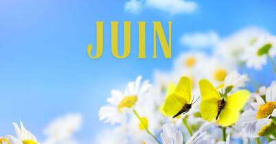 formation kinésiologie juin