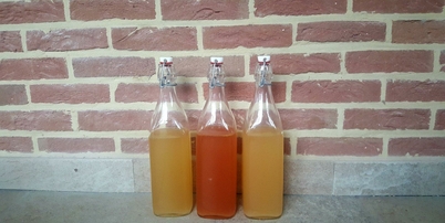 lacto-fermentation