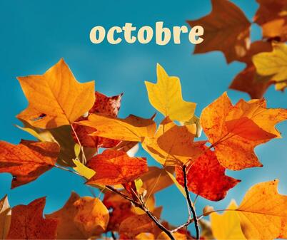 formation octobre