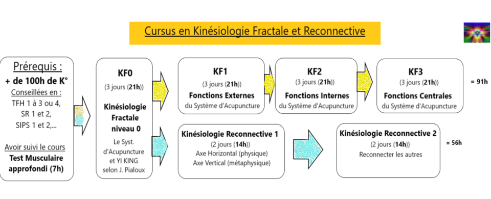 kinésiologie fractale