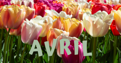 formation kinesiologie