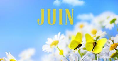formation de kinesiologie